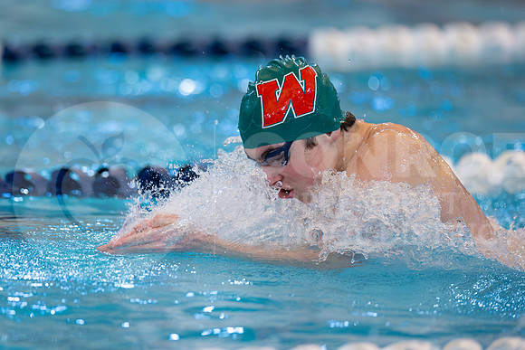 250207 Regional Swimming-38