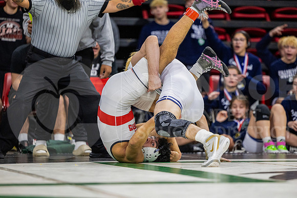 250118 CPHS State Duals Wrestling - Caroline Rodriguez-43