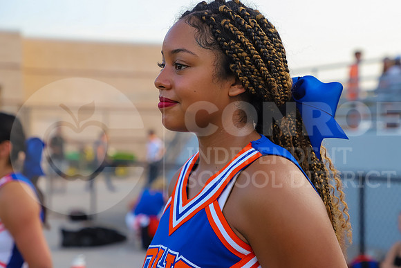 IMG_7246