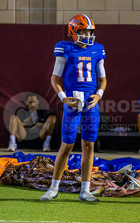 230922 Willis v GOHS - Ralph Tallent-5