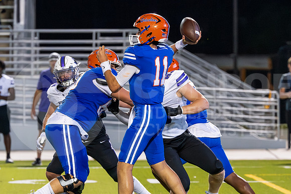 230922 Willis v GOHS - Ralph Tallent-28