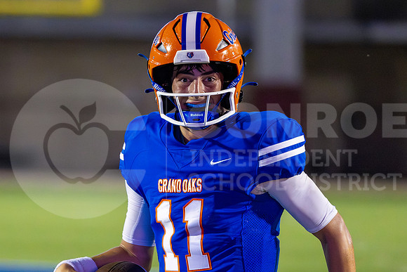 230922 Willis v GOHS - Ralph Tallent-19