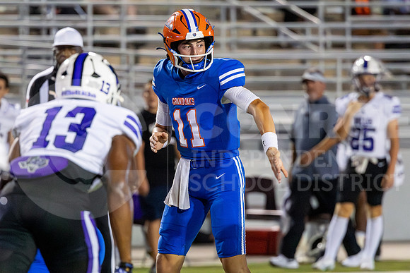 230922 Willis v GOHS - Ralph Tallent-16