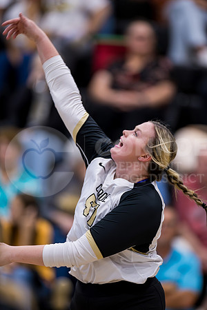 230822 CCHS vs CHS Volleyball-57