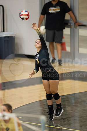 080723_CHS_Lufking_VB-14