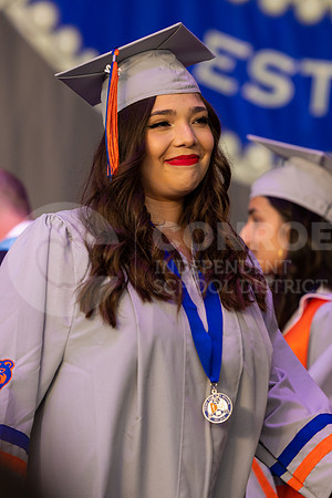 GOHS52422-89