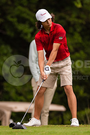 040423 Boys District Golf-9