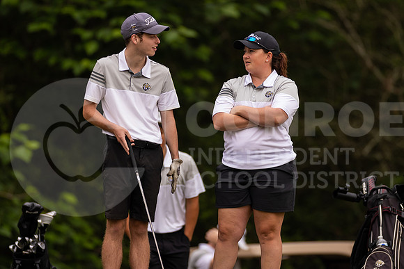 040423 Boys District Golf-15