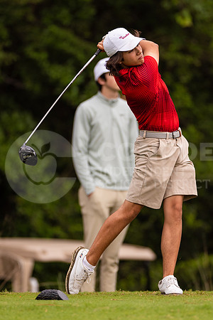040423 Boys District Golf-10