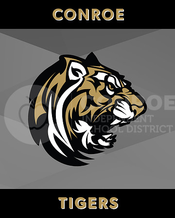 CHS