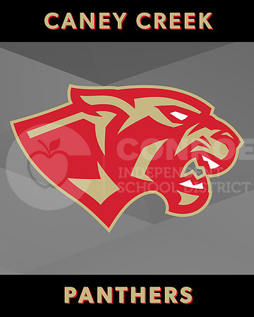 CCHS