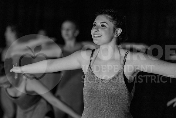 SpringShow2022-5