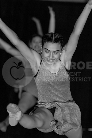 SpringShow2022-4