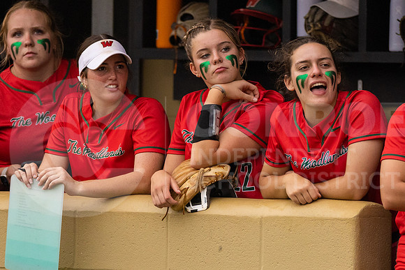 040423 TWHS vs CHS Softball-29