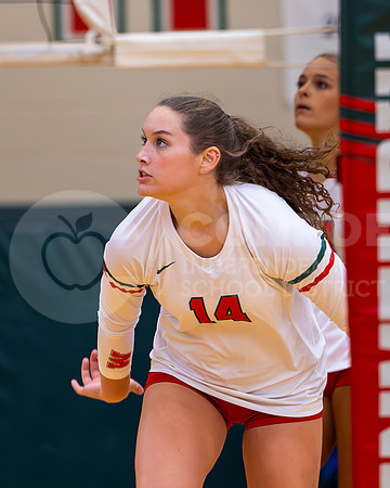 230905 GOHS vs TWHS VB - Taryn Farnsworth-60