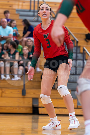 230905 GOHS vs TWHS VB - Taryn Farnsworth-14