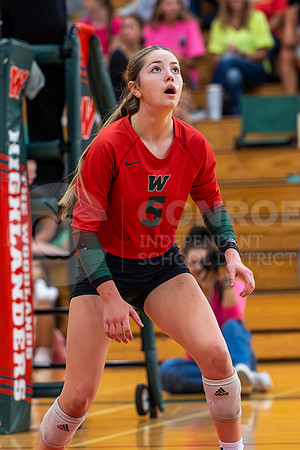230905 GOHS vs TWHS VB - Taryn Farnsworth-33