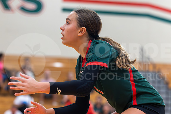230905 GOHS vs TWHS VB - Taryn Farnsworth-11