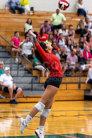 230905 GOHS vs TWHS VB - Taryn Farnsworth-2