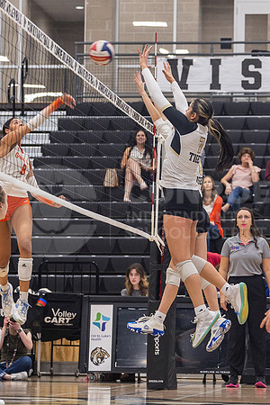241015 Grand Oaks vs CHS VB - Isabella Todd-26