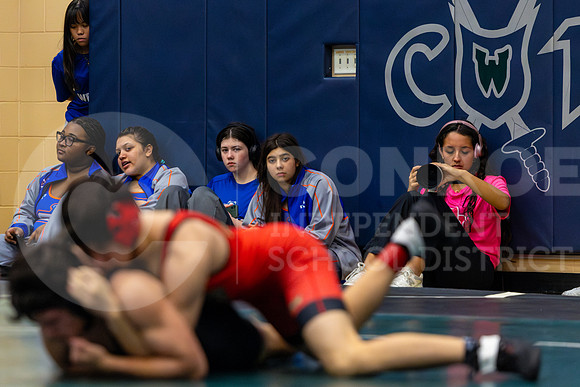 260129 District Wrestling-27