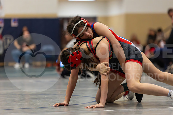 260129 District Wrestling-184