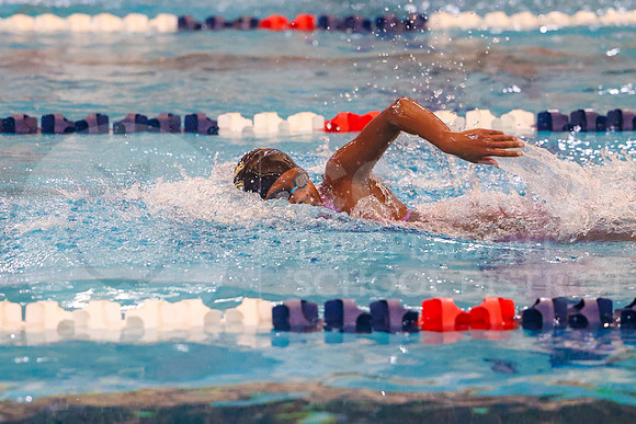260123 District Swimming - Allison Lozano-19