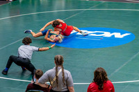 260129 Wrestling Districts - Easton Hairell-14