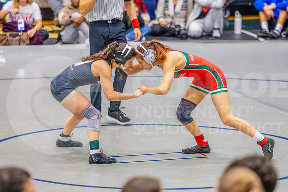 260129 Wrestling Districts - Easton Hairell-55