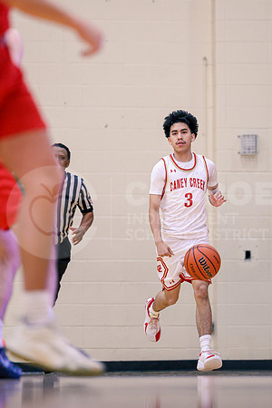 260128 The Woodlands vs Caney Creek - Basketball-29