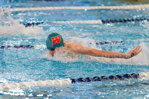 260207 Regional Swimming Finals - Allison Lozano-27