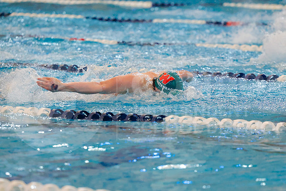 260207 Regional Swimming Finals - Allison Lozano-52