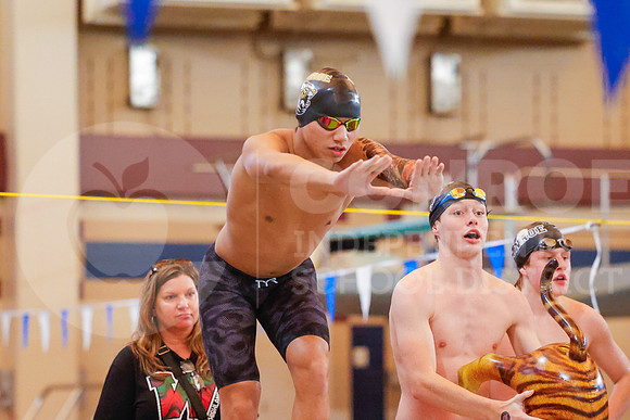 260207 Regional Swimming Finals - Allison Lozano-78