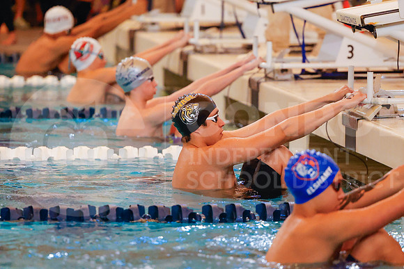 260207 Regional Swimming Finals - Allison Lozano-84