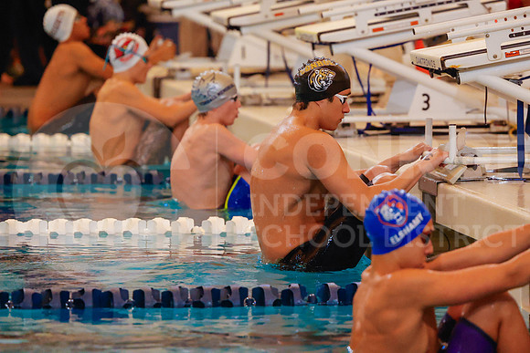 260207 Regional Swimming Finals - Allison Lozano-85