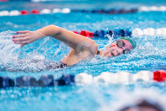 260123 - Swim & Dive Districts - Easton Hairell-18