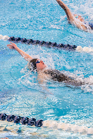 260206 Swim Regionals - Easton Hairell-28