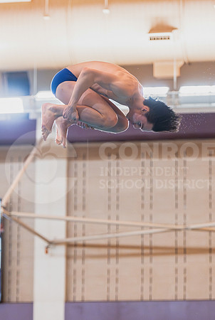 250206 Diving Regionals - Easton Hairell-37
