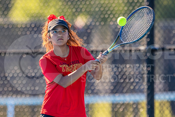 260408 - Tennis Districts - Easton Hairell-14