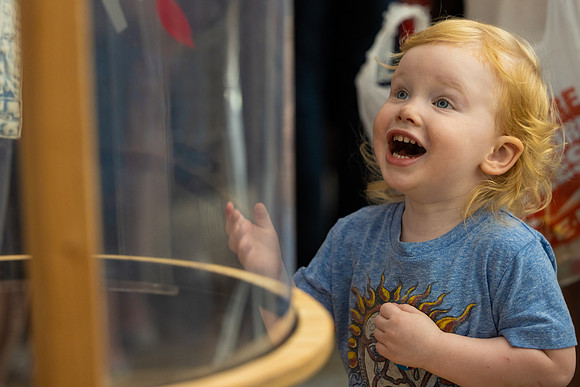 5V5A7626