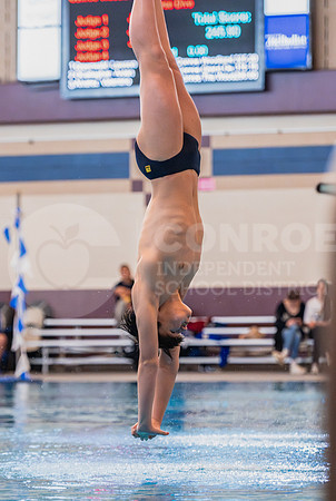 250206 Diving Regionals - Easton Hairell-34