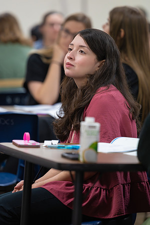 250730 Intro to CISD-27