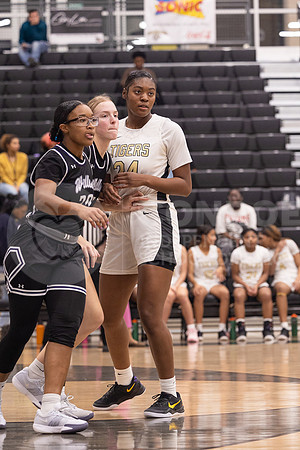 250131 Willis vs CHS Girls Basketball - Isabella Todd-39
