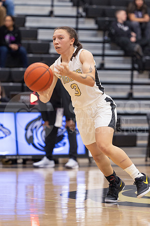 250131 Willis vs CHS Girls Basketball - Isabella Todd-34