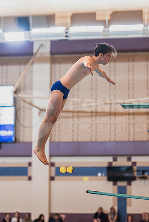 250206 Diving Regionals - Easton Hairell-33