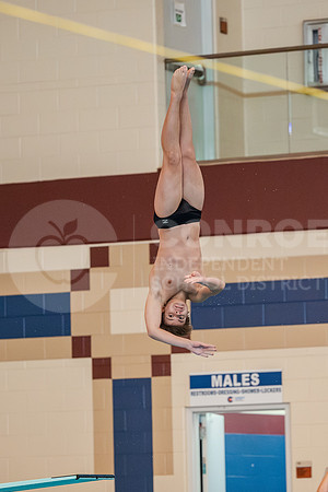 231005 Swim and Dive - MJ Monroe-31