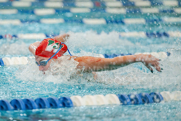 231005 Swim and Dive - MJ Monroe-40