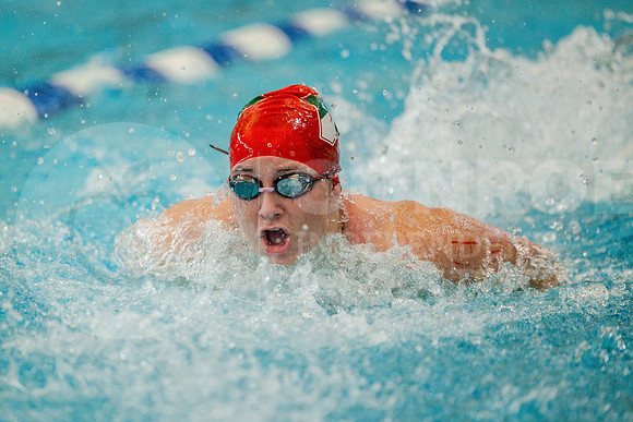 231005 Swim and Dive - MJ Monroe-45