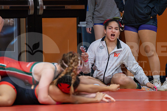 District Wrestling-107