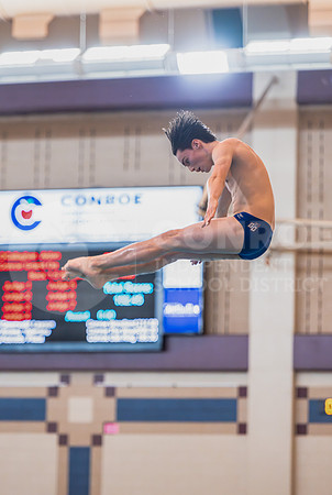 250206 Diving Regionals - Easton Hairell-24